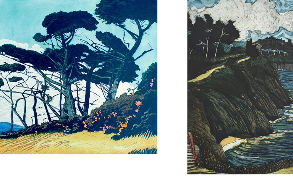 The Donnybrook Gardens Collection