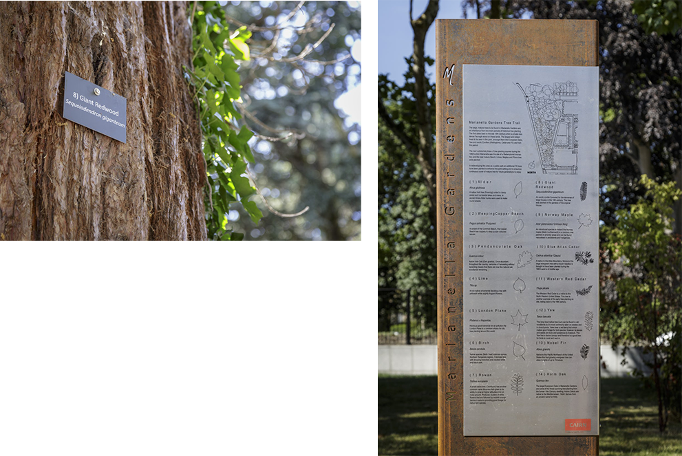 The Marianella Tree Trail