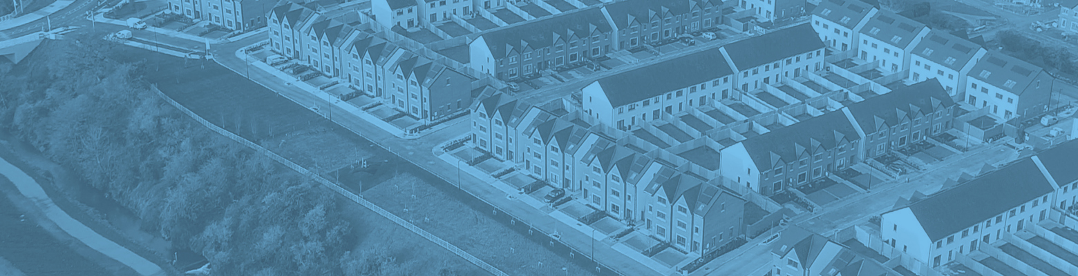 Results for the Year Ended 31 December 2020